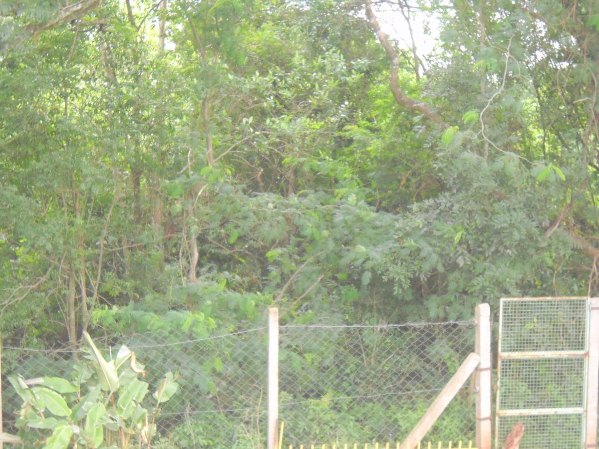 Pousada Chacara Mamma Gaia Foz do Iguaçu Zewnętrze zdjęcie